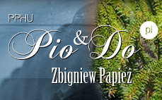 strona główna